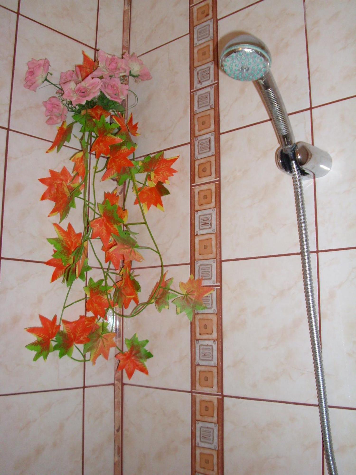 Guest House Villa Katty بالشيك المظهر الخارجي الصورة
