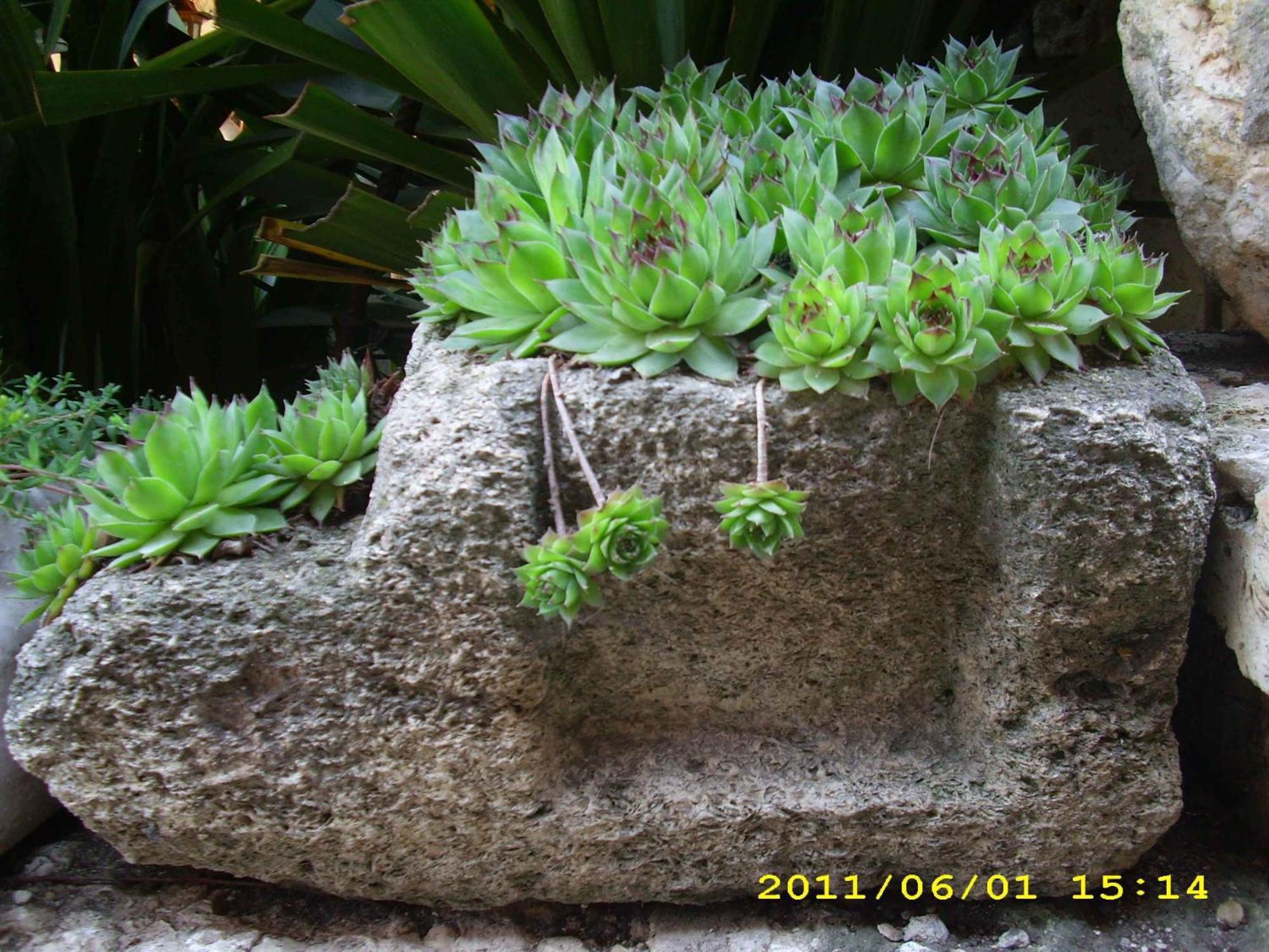 Guest House Villa Katty بالشيك المظهر الخارجي الصورة