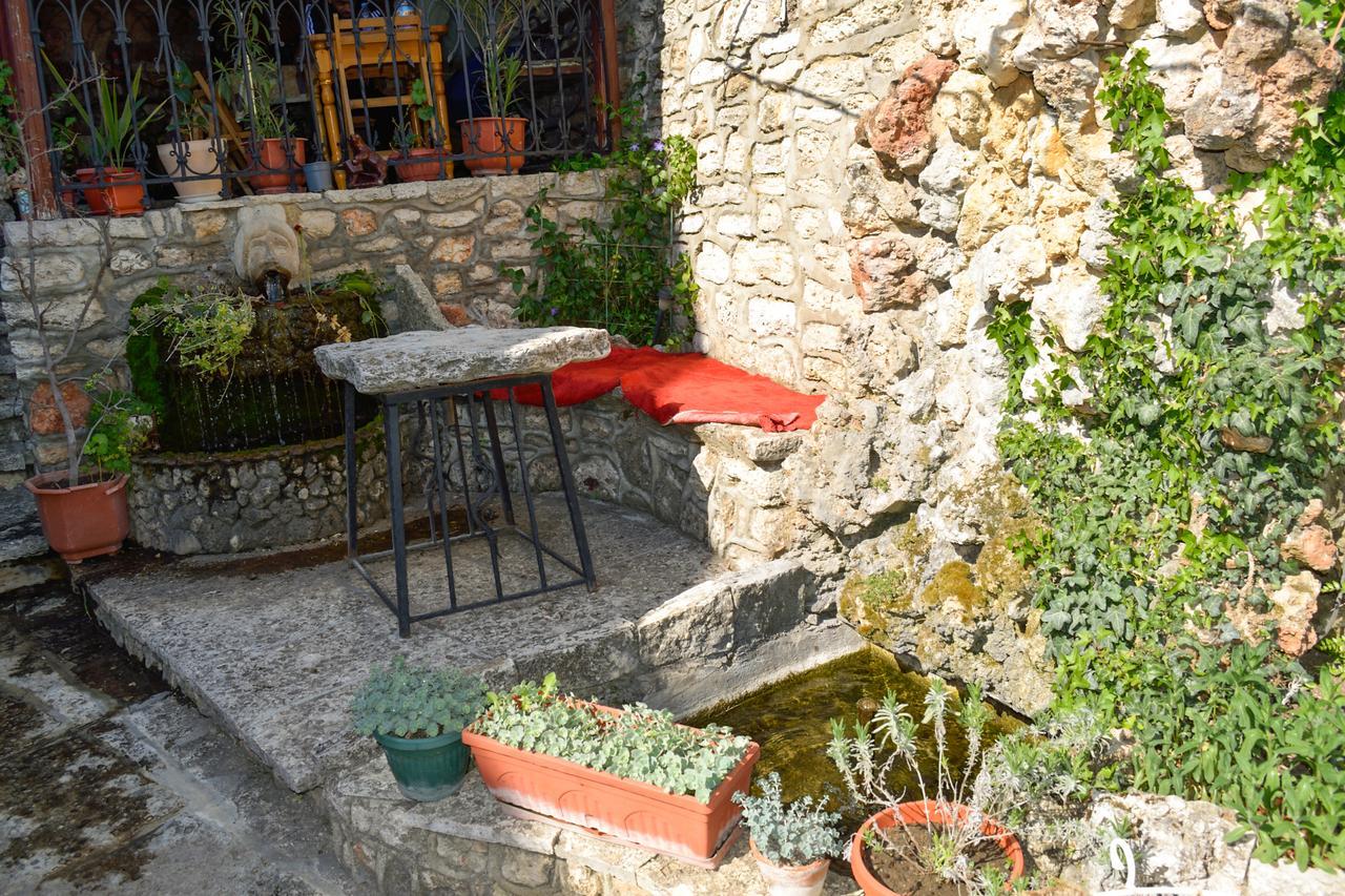 Guest House Villa Katty بالشيك المظهر الخارجي الصورة